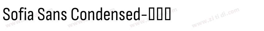 Sofia Sans Condensed字体转换